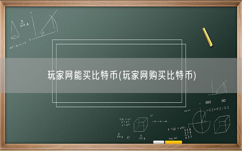 玩家网能买比特币(玩家网购买比特币)