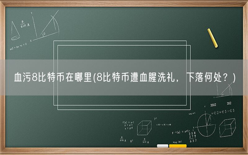 血污8比特币在哪里(8比特币遭血腥洗礼，下落何处？)