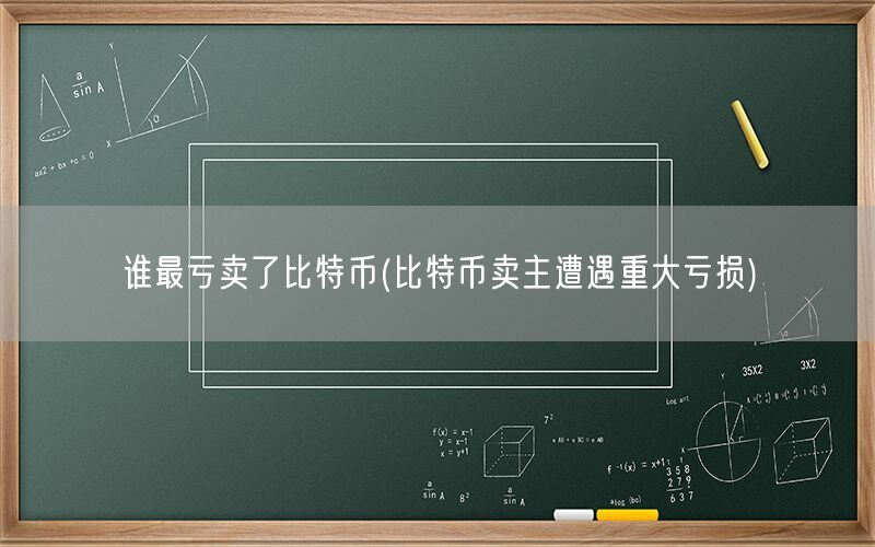 谁最亏卖了比特币(比特币卖主遭遇重大亏损)