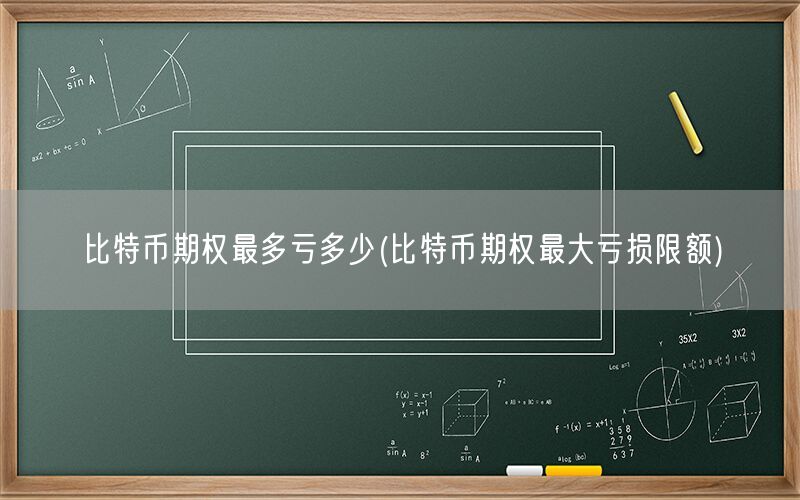 比特币期权最多亏多少(比特币期权最大亏损限额)