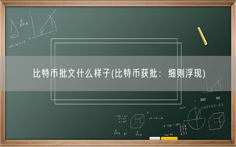 比特币批文什么样子(比特币获批：细则浮现)