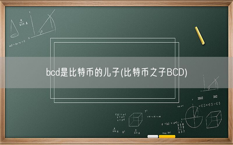 bcd是比特币的儿子(比特币之子BCD)