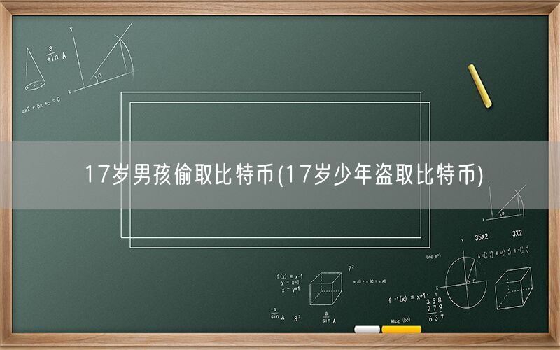 17岁男孩偷取比特币(17岁少年盗取比特币)