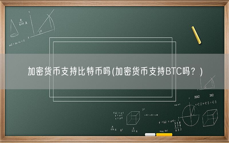 加密货币支持比特币吗(加密货币支持BTC吗？)