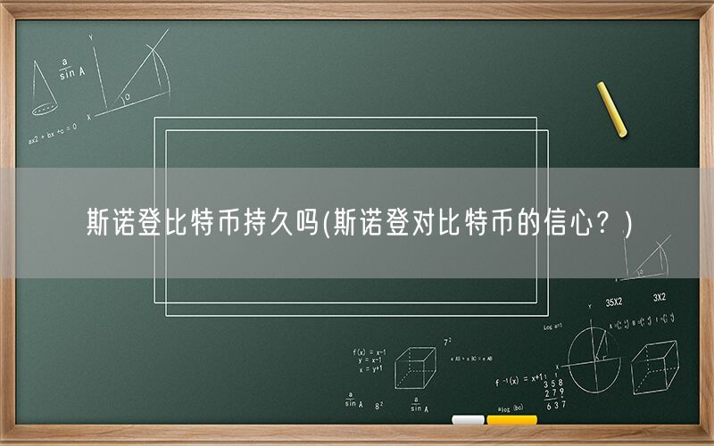 斯诺登比特币持久吗(斯诺登对比特币的信心？)