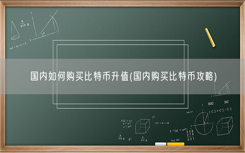 国内如何购买比特币升值(国内购买比特币攻略)