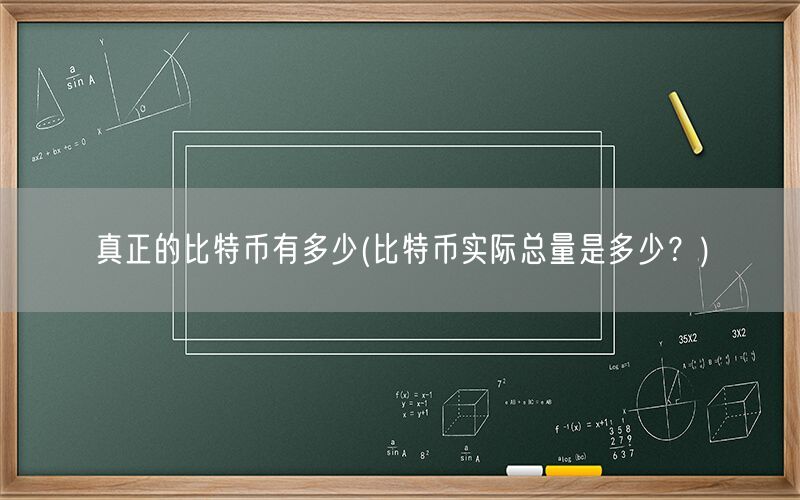 真正的比特币有多少(比特币实际总量是多少？)