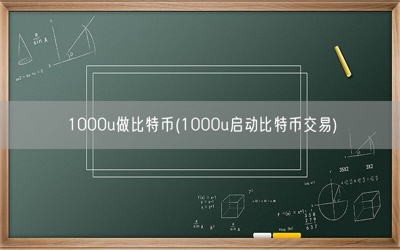 1000u做比特币(1000u启动比特币交易)