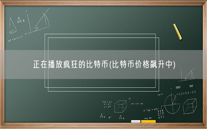 正在播放疯狂的比特币(比特币价格飙升中)