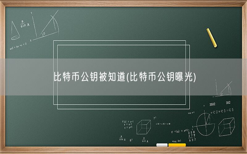 比特币公钥被知道(比特币公钥曝光)